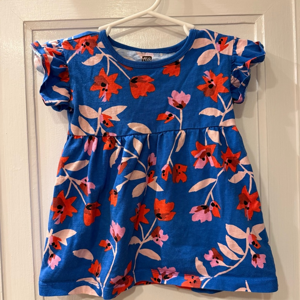 Tea Collection Floral Blue Dress with Red and Pink Accents, size 9-12 mo